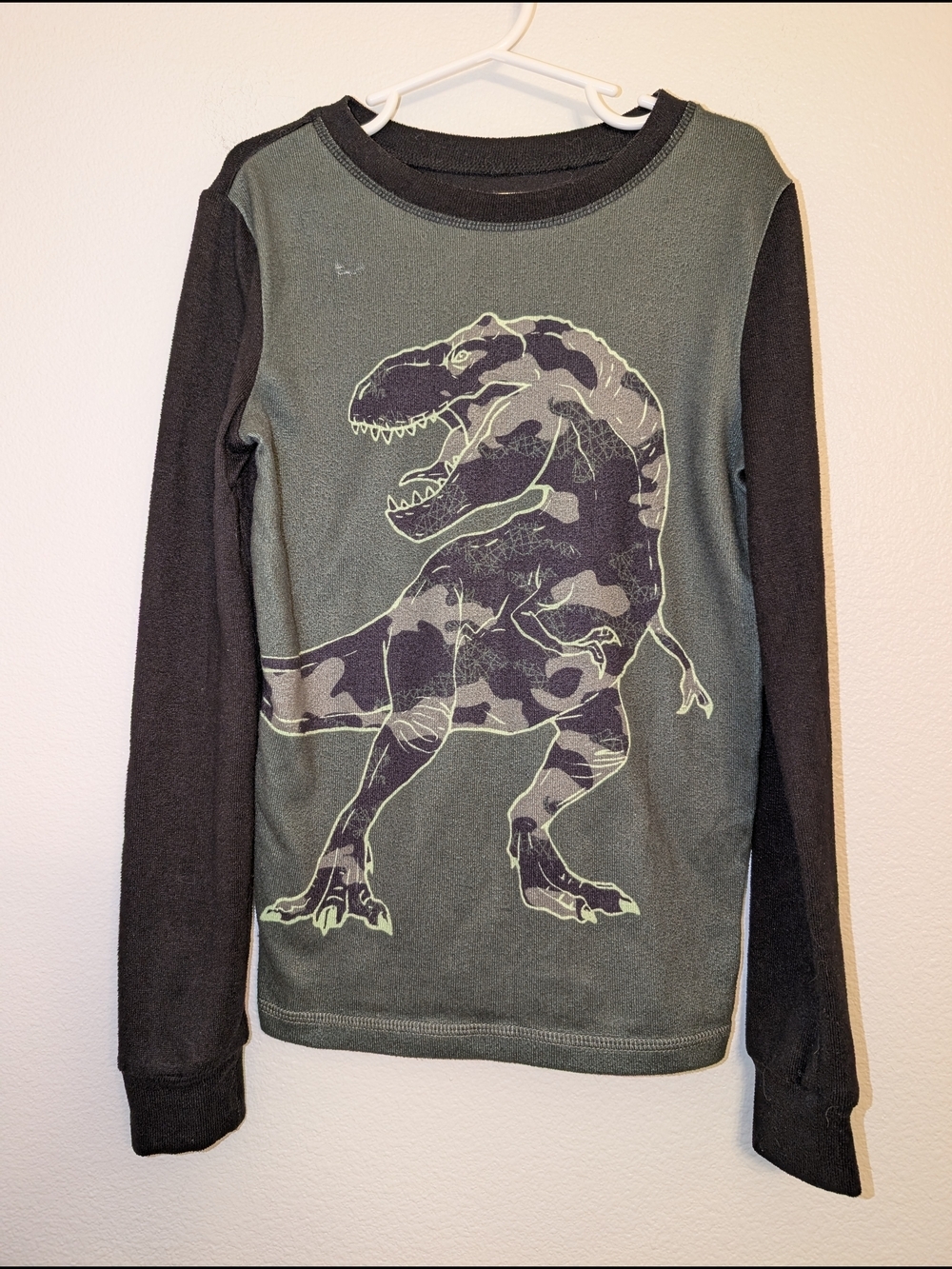 Saint Eve 2 Peice Kids Dinosaur Pajama Set Boys Size 10